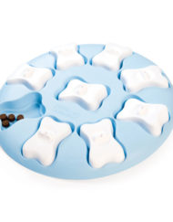 Dog smart Puppy in het lichtblauw