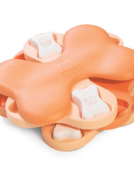 Dog Torando puppy variant in oranje