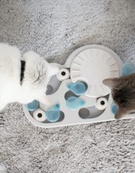 Kattenspel Rainy Day met 2 snuffelende katten