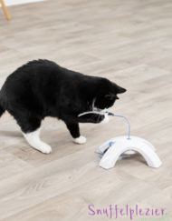 Katten intelligentie spel