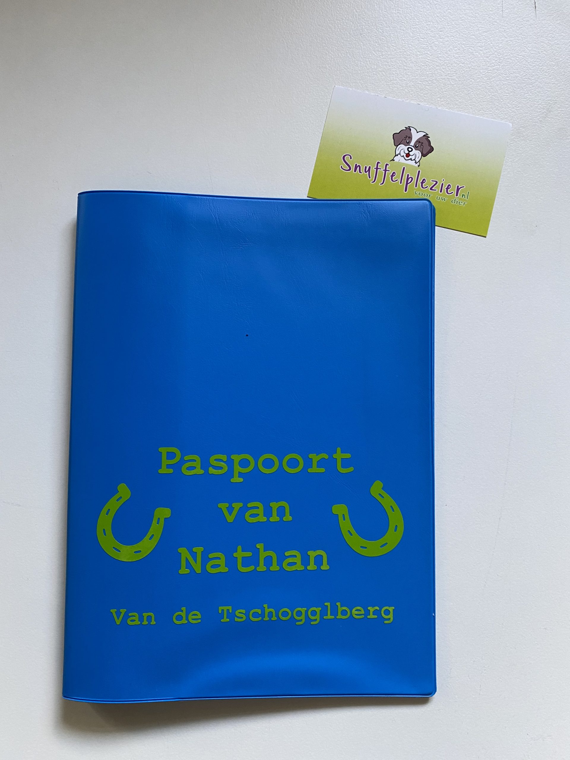 Hoes voor paardenpaspoort in blauw met groene opdruk, inclusief stalnaam