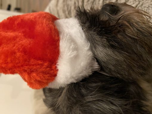 Kerstmuts