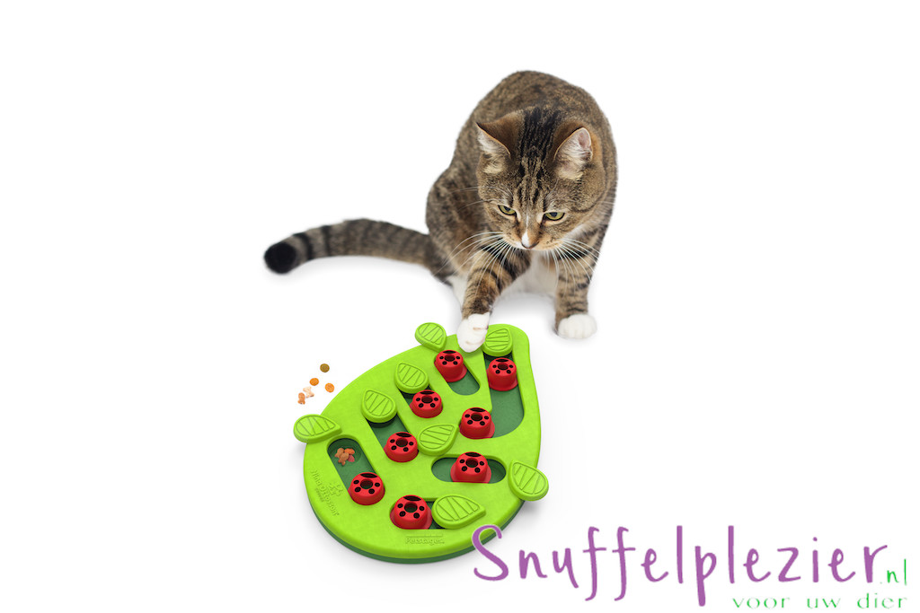 NinaOttosson_PuzzleAndPlay_BugginOut