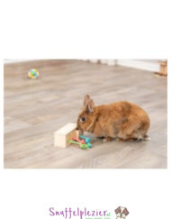 Snack Cube voor knaagdieren - Trixie