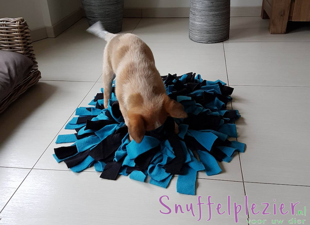 Snuffelkussen maat M blauw zwart met hond