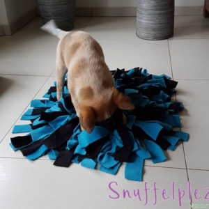 Snuffelkussen maat M blauw zwart met hond