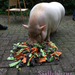 Snuffelkussen maat M met varken