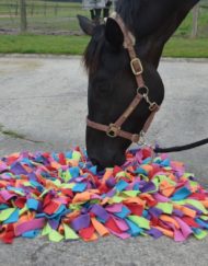 Snuffelkussen XL voor paarden