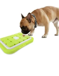 Sokudo waar hondje aan het Snuffelen is.