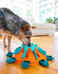 Tower of treats met een hondje