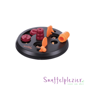 Trixie Flip Board intelligentiespel