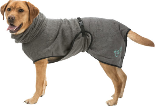 Labrador met badjas voor honden.