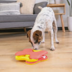 Mini dog Tornado met hond